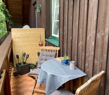 Bad Aussee Apartment | Ferienwohnung Martens Villa