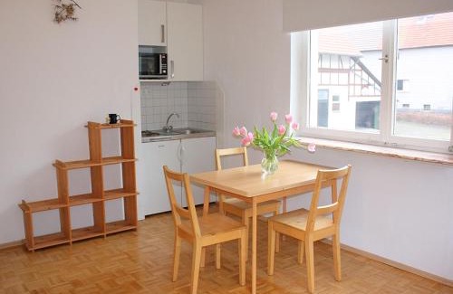 Bad Wildungen Apartment | Ferienwohnung mit eigener Terrasse in Hüddingen