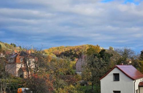 Zitzschewig Apartment | Ferienwohnung mit Weinbergblick