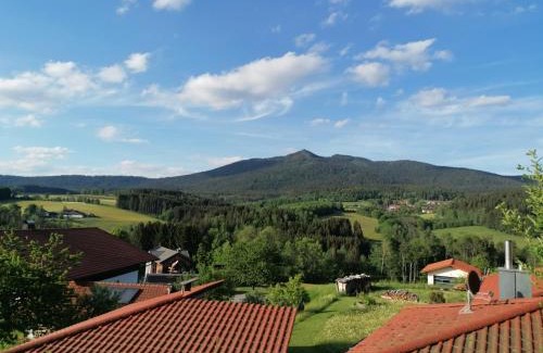 Schwarzenbach Apartment | Ferienwohnung Osserglück