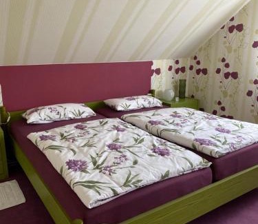 Schunteraue Apartment | Ferienwohnung Paulina