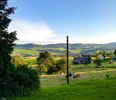 Gersfeld Apartment | Ferienwohnung Rhönpanorama