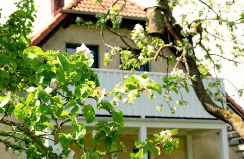 Stolpe Apartment | Ferienwohnung Rohlffs Stolpe auf Usedom