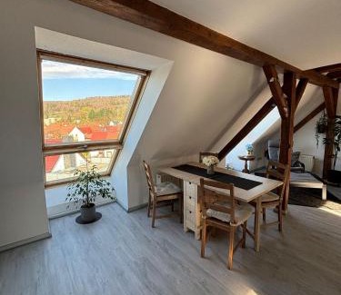 Zella-Mehlis Apartment | Ferienwohnung „Ruppbergblick“