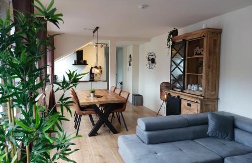 Niedersfeld House | Ferienwohnung Südhang