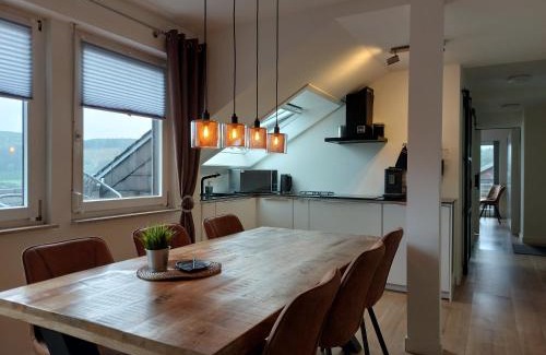 Niedersfeld House | Ferienwohnung Südhang