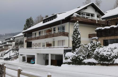 Niedersfeld House | Ferienwohnung Südhang