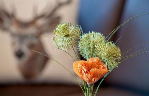 Rofleuten Apartment | Ferienwohnung Schäferhütte