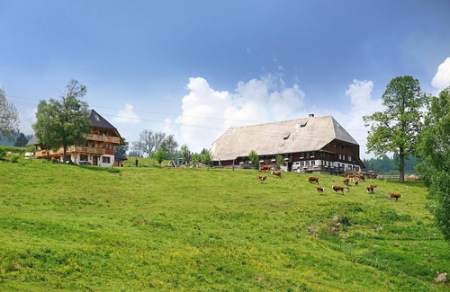Hinterzarten Apartment | Ferienwohnung Schauinsland, 75qm, 2 Schlafzimmer, max. 5 Personen
