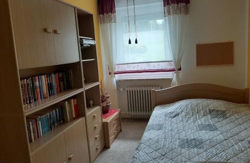 Naila Apartment | Ferienwohnung Schmidt