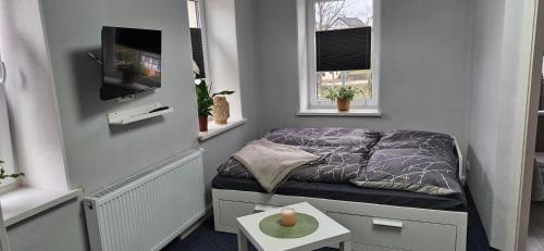 Grossschirma Apartment | Ferienwohnung Schwalbennest