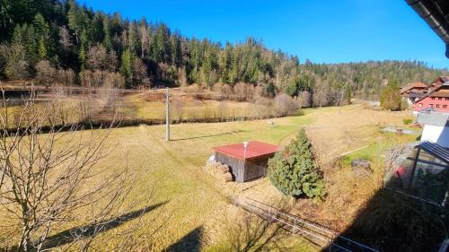 Todtmoos Apartment | Ferienwohnung Schwarzwaldsegen mit Balkon
