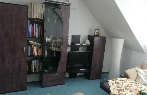 Coswig Apartment | Ferienwohnung Schweizer
