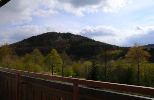 Niedersfeld Apartment | Ferienwohnung Sonnenblick Balkony - WIFI - New & Modern - Winterberg - Niedersfeld