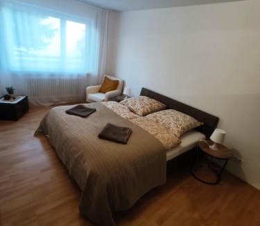 Freilassing Apartment | Ferienwohnung Sonnenfeld mit Gartenblick