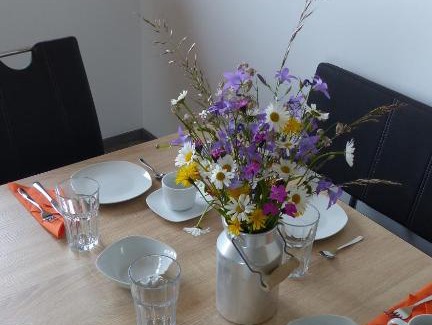 Mattsee Apartment | Ferienwohnung Steger
