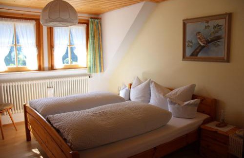 Todtmoos Apartment | Ferienwohnung Talblick