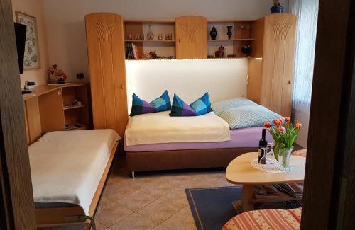 Meissen Apartment | Ferienwohnung Viola