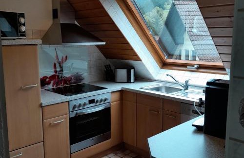 Simonswald Apartment | Ferienwohnung Waldblick