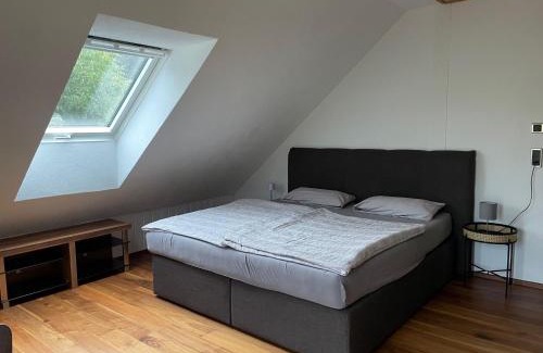 Frankenberg Apartment | Ferienwohnung Waldesrand