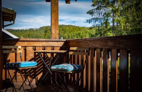 Oberviechtach Apartment | Ferienwohnung zum Forsthaus mit Sauna