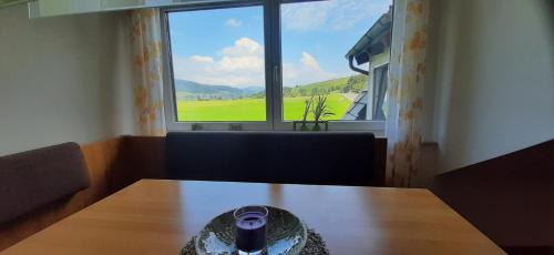 Tiefgraben Apartment | Ferienwohnung zum IRRSEE 79 Mondseeland