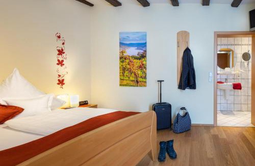 Mainz-Bingen Apartment | Ferienwohnungen Alte Gerberei