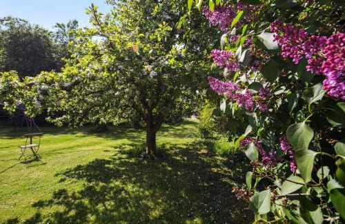 Heroldstatt Apartment | Ferienwohnungen große Albferien