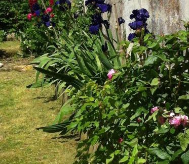 LHoumeau Bed & Breakfast | Ferme de Maillezais
