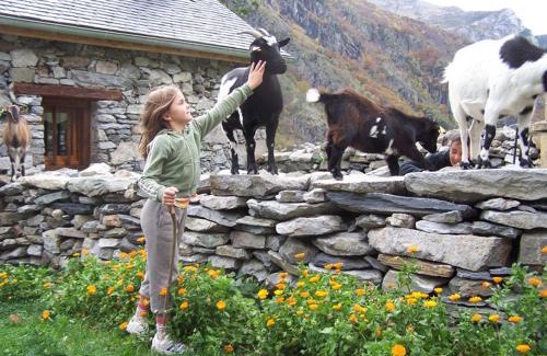 Gedre House | Ferme de Trabés *