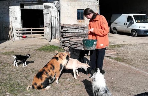 Chelieu Bed & Breakfast | Ferme les poneys de la Durme