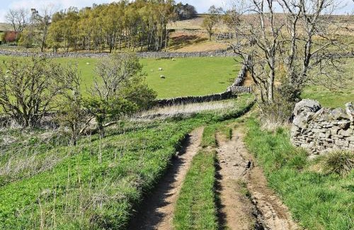 Hexham House | Fern Cottage