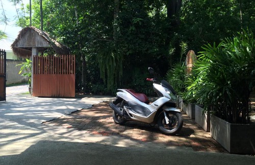 Chalong Resort | Fern House Retreat