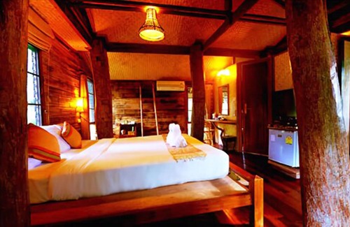 San Sai Hotel | Fern Paradise