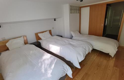 Padornelo House | Fernandes House