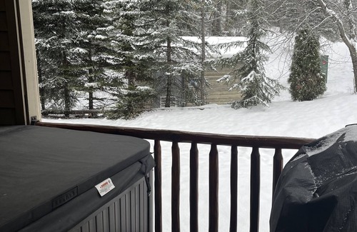 East Kootenay Condo | Fernie Ski-In Condo, 2 bed, 2 bath, with private hot tub and BBQ.