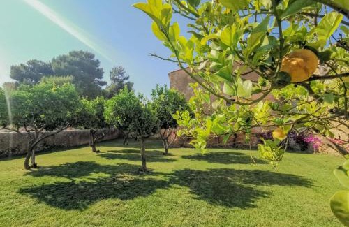 Gela House | Feudo Nobile