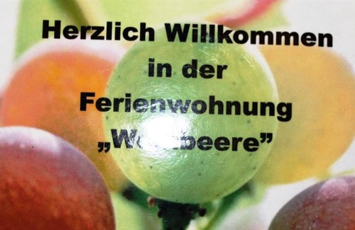 Gols Apartment | Fewo 4 Weinbeere - Ferienhof Weingut Lunzer