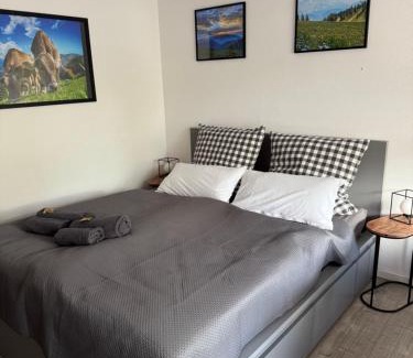 Steibis Apartment | FeWo Allgäuzeit mit WLAN Oberstaufen Steibis