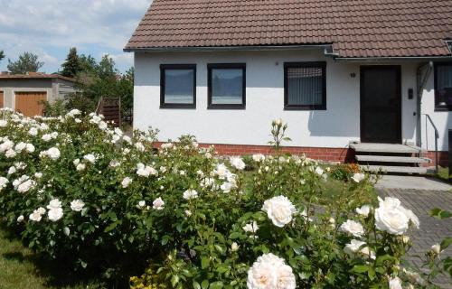 Blankenburg Apartment | Fewo am Sassenberg