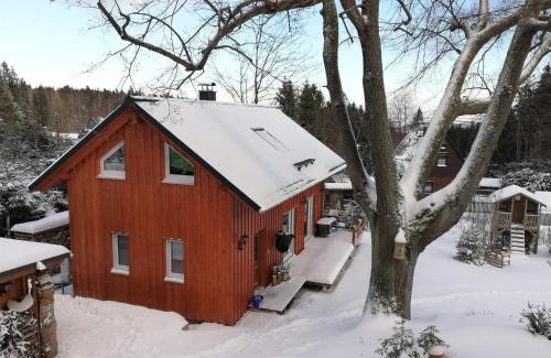 Waldidylle Apartment | Fewo bei Reuters - Haus Tellkoppe
