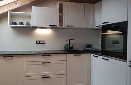 Irsengund Apartment | Fewo "berglounge", Oberreute