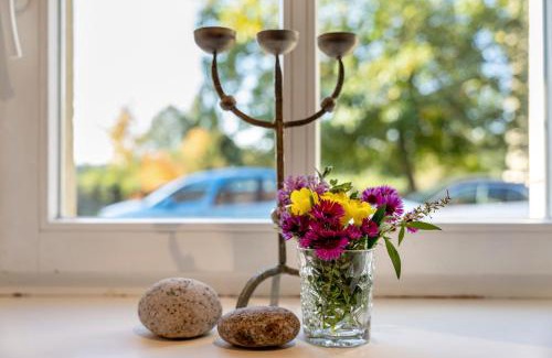 Wachwitz Apartment | Fewo in der Alten Weinpresse