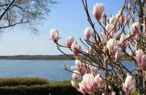 Plau am See Apartment | Fewo in Villa mit Seeblick