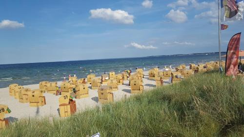 Niendorf/Ostsee Apartment | FeWo Machedanz am Hafen Timmendorfer Strand OT Niendorf