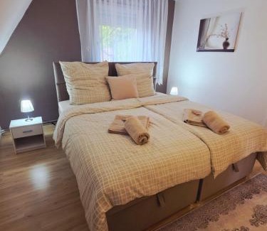 Obermarsberg Apartment | FeWO-Rafaelo 2