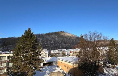 Bad Lauterberg Apartment | Fewo Scholbenblick