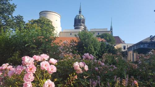 Lutherstadt Wittenberg Apartment | Fewo "Seerose" am Stadtpark