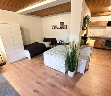 Donaueschingen Apartment | FEWO Sternen