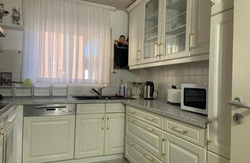 Lahr Apartment | FeWo Sulzbachtal, Nähe Europa-Park, Rulantica, Schwarzwald, Feldberg